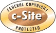 Access Project Management Database - Track Bugs and Issues 